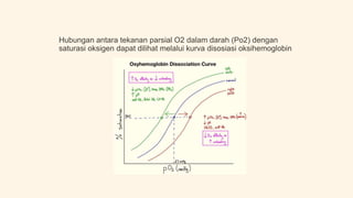 PPT TRANSPOR OKSIGEN (SUKMA JELITA).pptx