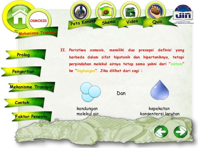 Transpor Pasif (Difusi, Osmosis, dan Difusi Terfasilitasi)