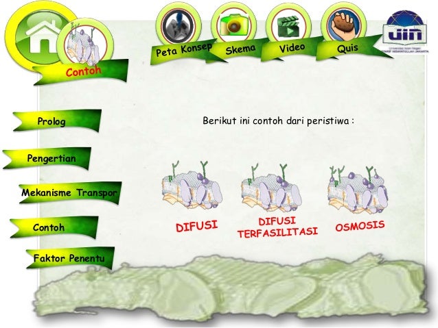 Transpor Pasif (Difusi, Osmosis, dan Difusi Terfasilitasi)