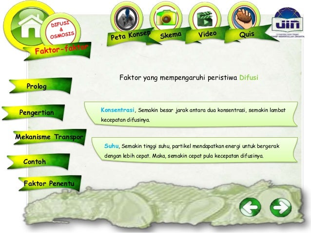 Transpor Pasif (Difusi, Osmosis, dan Difusi Terfasilitasi)