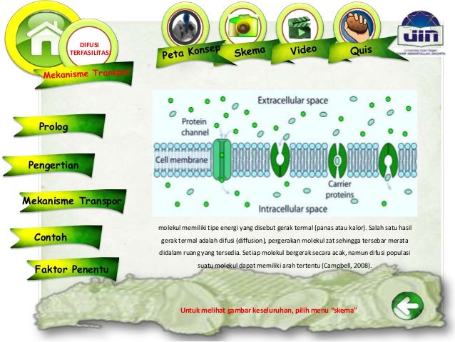 PPT Multi media Interaktif Transpor Pasif (Difusi, Difusi 