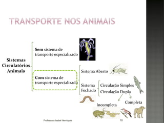 10
Sistemas
Circulatórios
Animais
Sem sistema de
transporte especializado
Sistema Aberto
Com sistema de
transporte especializado
Sistema
Fechado
Circulação Simples
Circulação Dupla
Completa
Incompleta
Professora Isabel Henriques
 