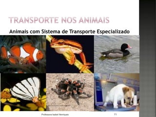 Animais com Sistema de Transporte Especializado
11Professora Isabel Henriques
 