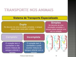 12
O coração tem 4
cavidades e não
ocorre mistura de
sangue arterial e
venoso.
O coração tem 3
cavidades e pode
ocorrer mistura do
sangue arterial com o
venoso
Simples
No decurso de uma
circulação completa, o
sangue passa apenas uma
vez no coração.
Dupla
No decurso de uma circulação completa, o sangue
passa duas vezes pelo coração.
Completa Incompleta
Sistema de Transporte Especializado
Professora Isabel Henriques
 