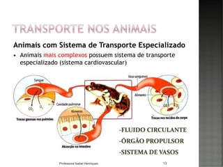 Animais com Sistema de Transporte Especializado
 Animais mais complexos possuem sistema de transporte
especializado (sistema cardiovascular)
13
-FLUIDO CIRCULANTE
-ÓRGÃO PROPULSOR
-SISTEMA DE VASOS
Professora Isabel Henriques
 