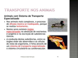 Animais com Sistema de Transporte
Especializado
 Nos animais mais complexos, o processo
de difusão mostra-se inadequado, porque
se realiza lentamente.
 Nestes seres existem órgãos
especializados na absorção de nutrientes
e oxigénio e na excreção de substâncias
tóxicas.
 A condução destas substâncias, entre os
órgãos onde são absorvidos e as células
do resto do organismo, é feita através de
um sistema de transporte especializado –
o sistema circulatório ou cardiovascular.
14Professora Isabel Henriques
 