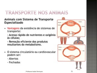 Animais com Sistema de Transporte
Especializado
 Vantagens da existência de sistemas de
transporte:
- Acesso rápido de nutrientes e oxigénio
às células;
- Remoção eficiente dos produtos
resultantes do metabolismo.
 O sistema circulatório ou cardiovascular
podem ser:
- Abertos
- Fechados
15Professora Isabel Henriques
 