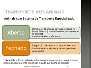 Animais com Sistema de Transporte Especializado
16
• Hemolinfa* abandona os vasos e circula no
hemocélio-conjunto de lacunas (espaço entre
as células).
• Circulação menos eficiente.
Aberto
• Sangue circula sempre no interior de vasos.
• Circulação mais eficiente (maior pressão e
velocidade)
Fechado
* Hemolinfa – Termo utilizado pelos biólogos, uma vez que ocorre mistura
entre o sangue e a linfa intersticial (líquido que banha as células)
Professora Isabel Henriques
 