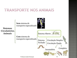 19
Sistemas
Circulatórios
Animais
Sem sistema de
transporte especializado
Sistema Aberto
Com sistema de
transporte especializado
Sistema
Fechado
Circulação Simples
Circulação Dupla
Completa
Incompleta
Professora Isabel Henriques
 