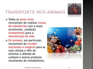  Todos os seres vivos
necessitam de realizar trocas
de substâncias com o meio
envolvente, condição
fundamental para a
manutenção da vida.
 Os animais, em particular,
necessitam de receber
nutrientes e oxigénio para as
suas células e têm de
eliminar o dióxido de
carbono e outros produtos
resultantes do metabolismo.
2Professora Isabel Henriques
 