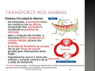 22
Hemolinfa (haimo=sangue + lympha=água, líquido claro): fluido circulatório praticamente incolor
presente nos invertebrados mais complexos, com sistema aberto.
Hemolinfa
Hemocélio
Sistema Circulatório Aberto:
 No hemocélio, a hemolinfa entra
em contacto com as células,
fornecendo-lhes nutrientes e
recebendo os produtos de
excreção.
 Após a irrigação dos tecidos, a
hemolinfa entra novamente no
coração tubular, através dos
ostíolos.
 A entrada da hemolinfa no coração
faz-se por forças de sucção
geradas pelo relaxamento deste
órgão.
 Seguidamente ocorre o fecho dos
ostíolos o coração contrai e dá-se
a saída da hemolinfa.
Professora Isabel Henriques
 