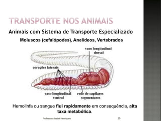 Animais com Sistema de Transporte Especializado
25
Moluscos (cefalópodes), Anelídeos, Vertebrados
Hemolinfa ou sangue flui rapidamente em consequência, alta
taxa metabólica.
Professora Isabel Henriques
 