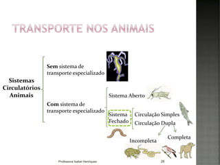 26
Sistemas
Circulatórios
Animais
Sem sistema de
transporte especializado
Sistema Aberto
Com sistema de
transporte especializado
Sistema
Fechado
Circulação Simples
Circulação Dupla
Completa
Incompleta
Professora Isabel Henriques
 
