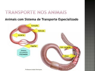 Animais com Sistema de Transporte Especializado
29Professora Isabel Henriques
 