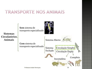 30
Sistemas
Circulatórios
Animais
Sem sistema de
transporte especializado
Sistema Aberto
Com sistema de
transporte especializado
Sistema
Fechado
Circulação Simples
Circulação Dupla
Completa
Incompleta
Professora Isabel Henriques
 