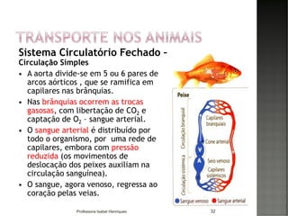 Sistema Circulatório Fechado –
Circulação Simples
 A aorta divide-se em 5 ou 6 pares de
arcos aórticos , que se ramifica em
capilares nas brânquias.
 Nas brânquias ocorrem as trocas
gasosas, com libertação de CO2 e
captação de O2 – sangue arterial.
 O sangue arterial é distribuído por
todo o organismo, por uma rede de
capilares, embora com pressão
reduzida (os movimentos de
deslocação dos peixes auxiliam na
circulação sanguínea).
 O sangue, agora venoso, regressa ao
coração pelas veias.
32Professora Isabel Henriques
 