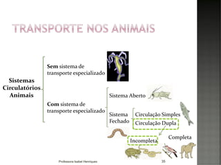 35
Sistemas
Circulatórios
Animais
Sem sistema de
transporte especializado
Sistema Aberto
Com sistema de
transporte especializado
Sistema
Fechado
Circulação Simples
Circulação Dupla
Completa
Incompleta
Professora Isabel Henriques
 