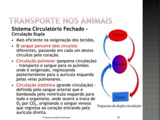 Sistema Circulatório Fechado –
Circulação Dupla
 Mais eficiente na oxigenação dos tecidos.
 O sangue percorre dois circuitos
diferentes, passando em cada um destes
circuitos pelo coração.
 Circulação pulmonar (pequena circulação)
– transporta o sangue para os pulmões
onde é oxigenado, regressando
posteriormente para a aurícula esquerda
pelas veias pulmonares.
 Circulação sistémica (grande circulação) –
definida pelo sangue arterial que é
bombeada pelo ventrículo esquerdo para
todo o organismo, onde ocorre a troca de
O2 por CO2, originando o sangue venoso
que regressa ao coração entrando pela
aurícula direita.
36
Coração
Corpo
Pulmão
Esquema da dupla circulação
Professora Isabel Henriques
 