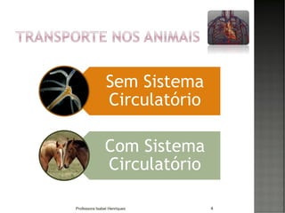 Sem Sistema
Circulatório
Com Sistema
Circulatório
4Professora Isabel Henriques
 