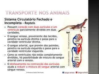 41
Sistema Circulatório Fechado e
Incompleta - Repteis
 Possuem coração com duas aurículas e um
ventrículo parcialmente dividido em duas
cavidades.
 O sangue venoso, proveniente dos tecidos,
penetra na aurícula direita e passa para a
cavidade ventricular direita.
 O sangue arterial, que provém dos pulmões,
penetra na aurícula esquerda e passa para a
cavidade ventricular esquerda.
 Como os ventrículos não estão completamente
divididos, há possibilidade de mistura do sangue
arterial com o venoso.
 O desfasamento na contracção das aurículas
ajuda a reduzir a mistura de sangue arterial com
sangue venoso.
Professora Isabel Henriques
 