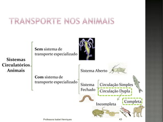 43
Sistemas
Circulatórios
Animais
Sem sistema de
transporte especializado
Sistema Aberto
Com sistema de
transporte especializado
Sistema
Fechado
Circulação Simples
Circulação Dupla
Completa
Incompleta
Professora Isabel Henriques
 