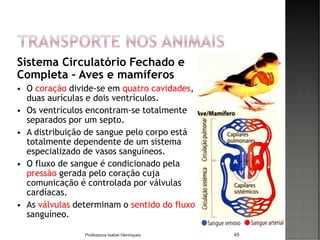 Sistema Circulatório Fechado e
Completa – Aves e mamíferos
 O coração divide-se em quatro cavidades,
duas aurículas e dois ventrículos.
 Os ventrículos encontram-se totalmente
separados por um septo.
 A distribuição de sangue pelo corpo está
totalmente dependente de um sistema
especializado de vasos sanguíneos.
 O fluxo de sangue é condicionado pela
pressão gerada pelo coração cuja
comunicação é controlada por válvulas
cardíacas.
 As válvulas determinam o sentido do fluxo
sanguíneo.
45Professora Isabel Henriques
 