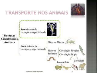 5
Sistemas
Circulatórios
Animais
Sem sistema de
transporte especializado
Sistema Aberto
Com sistema de
transporte especializado
Sistema
Fechado
Circulação Simples
Circulação Dupla
Completa
Incompleta
Professora Isabel Henriques
 
