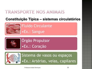 50
Fluído Circulante
•Ex.: Sangue
Órgão Propulsor
•Ex.: Coração
Sistema de vasos ou espaços
•Ex.: Artérias, veias, capilares
Constituição Típica – sistemas circulatórios
Professora Isabel Henriques
 
