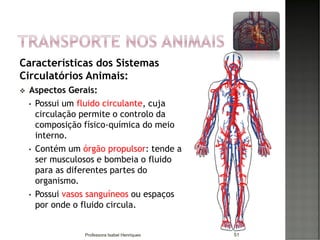 Características dos Sistemas
Circulatórios Animais:
❖ Aspectos Gerais:
• Possui um fluido circulante, cuja
circulação permite o controlo da
composição físico-química do meio
interno.
• Contém um órgão propulsor: tende a
ser musculosos e bombeia o fluido
para as diferentes partes do
organismo.
• Possui vasos sanguíneos ou espaços
por onde o fluido circula.
51Professora Isabel Henriques
 