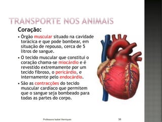 Coração:
 Órgão muscular situado na cavidade
torácica e que pode bombear, em
situação de repouso, cerca de 5
litros de sangue.
 O tecido muscular que constitui o
coração chama-se miocárdio e é
revestido extremamente por um
tecido fibroso, o pericárdio, e
internamente pelo endocárdio.
 São as contracções do tecido
muscular cardíaco que permitem
que o sangue seja bombeado para
todas as partes do corpo.
56Professora Isabel Henriques
 