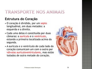 Estrutura do Coração
 O coração é dividido, por um septo
longitudinal, em duas metades: a
esquerda e a direita.
 Cada uma delas é constituída por duas
câmaras: a aurícula e o ventrículo,
estando a primeira localizada acima da
segunda.
 A aurícula e o ventrículo de cada lado do
coração comunicam um com o outro por
válvulas auriculoventriculares, mas estão
isolados de outra metade do coração.
58Professora Isabel Henriques
 