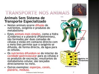 Animais Sem Sistema de
Transporte Especializado
 Nestes animais ocorre difusão de
nutrientes, oxigénio e produtos do
metabolismo
 Estes animais mais simples, como a hidra
(Cnidários) e a planária (Platelmintes),
são formados por duas camadas de
células e estão em contacto directo com
o meio lhes permite que o oxigénio se
difunda, de forma directa, da água para
as células.
 Os nutrientes difundem-se do interior da
cavidade gastrovascular para as células e
os produtos de excreção, resultantes do
metabolismo celular, são lançados
directamente no meio.
 Outros exemplos: esponjas, corais,
planária, medusa.
7
Produtos do
metabolismo
Professora Isabel Henriques
 