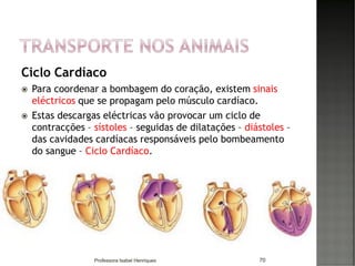 Ciclo Cardíaco
 Para coordenar a bombagem do coração, existem sinais
eléctricos que se propagam pelo músculo cardíaco.
 Estas descargas eléctricas vão provocar um ciclo de
contracções – sístoles – seguidas de dilatações – diástoles –
das cavidades cardíacas responsáveis pelo bombeamento
do sangue – Ciclo Cardíaco.
70Professora Isabel Henriques
 