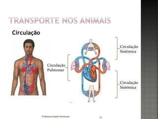 Circulação
71
Circulação
Sistémica
Circulação
Sistémica
Circulação
Pulmonar
Professora Isabel Henriques
 