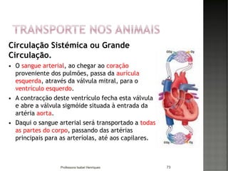Circulação Sistémica ou Grande
Circulação.
 O sangue arterial, ao chegar ao coração
proveniente dos pulmões, passa da aurícula
esquerda, através da válvula mitral, para o
ventrículo esquerdo.
 A contracção deste ventrículo fecha esta válvula
e abre a válvula sigmóide situada à entrada da
artéria aorta.
 Daqui o sangue arterial será transportado a todas
as partes do corpo, passando das artérias
principais para as arteríolas, até aos capilares.
73Professora Isabel Henriques
 