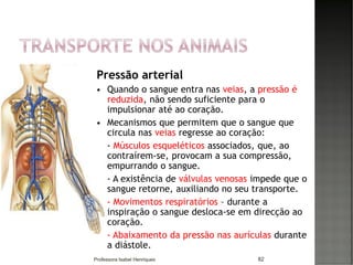 82
Pressão arterial
 Quando o sangue entra nas veias, a pressão é
reduzida, não sendo suficiente para o
impulsionar até ao coração.
 Mecanismos que permitem que o sangue que
circula nas veias regresse ao coração:
- Músculos esqueléticos associados, que, ao
contraírem-se, provocam a sua compressão,
empurrando o sangue.
- A existência de válvulas venosas impede que o
sangue retorne, auxiliando no seu transporte.
- Movimentos respiratórios – durante a
inspiração o sangue desloca-se em direcção ao
coração.
- Abaixamento da pressão nas aurículas durante
a diástole.
Professora Isabel Henriques
 