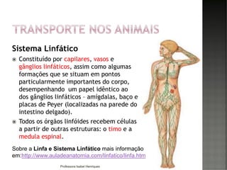 Sistema Linfático
 Constituído por capilares, vasos e
gânglios linfáticos, assim como algumas
formações que se situam em pontos
particularmente importantes do corpo,
desempenhando um papel idêntico ao
dos gânglios linfáticos – amígdalas, baço e
placas de Peyer (localizadas na parede do
intestino delgado).
 Todos os órgãos linfóides recebem células
a partir de outras estruturas: o timo e a
medula espinal.
97Professora Isabel Henriques
Sobre a Linfa e Sistema Linfático mais informação
em:http://www.auladeanatomia.com/linfatico/linfa.htm
 