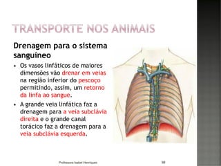 Drenagem para o sistema
sanguíneo
 Os vasos linfáticos de maiores
dimensões vão drenar em veias
na região inferior do pescoço
permitindo, assim, um retorno
da linfa ao sangue.
 A grande veia linfática faz a
drenagem para a veia subclávia
direita e o grande canal
torácico faz a drenagem para a
veia subclávia esquerda.
98Professora Isabel Henriques
 