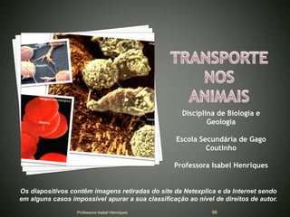 Disciplina de Biologia e
Geologia
Escola Secundária de Gago
Coutinho
Professora Isabel Henriques
Os diapositivos contêm imagens retiradas do site da Netexplica e da Internet sendo
em alguns casos impossível apurar a sua classificação ao nível de direitos de autor.
Professora Isabel Henriques 99
 