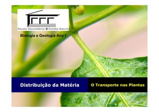 Distribuição da Matéria O Transporte nas Plantas
Biologia e Geologia Ano I
 