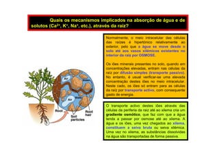 Quais os mecanismos implicados na absorção de água e de
solutos (Ca2+, K+, Na+, etc.), através da raíz?
Normalmente, o meio intracelular das células
das raízes é hipertónico relativamente ao
exterior, pelo que a água se move desde o
solo até aos vasos xilémicos existentes no
interior da raíz por OSMOSE.
Os iões minerais presentes no solo, quando em
concentrações elevadas, entram nas células da
raíz por difusão simples (transporte passivo).
No entanto, é usual verificar-se uma elevada
concentração destes iões no meio intracelular.
Neste cado, os iões só entram para as células
da raíz por transporte activo, com consequente
gasto de energia.
O transporte activo destes iões através das
células da periferia da raiz até ao xilema cria um
gradiente osmótico, que faz com que a água
tenda a passar por osmose até ao xilema. A
água e os iões, uma vez chegados ao xilema,
constituem a seiva bruta ou seiva xilémica.
Uma vez no xilema, as substâncias dissolvidas
na água são transportadas de forma passiva.
 