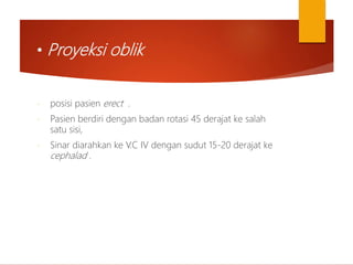 • Proyeksi oblik
- posisi pasien erect .
- Pasien berdiri dengan badan rotasi 45 derajat ke salah
satu sisi,
- Sinar diarahkan ke V.C IV dengan sudut 15-20 derajat ke
cephalad .
 