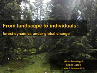 From landscape to individuals:  
forest dynamics under global change
Aitor Ameztegui
CREAF - CTFC
Lleida, 5 December 2016
 