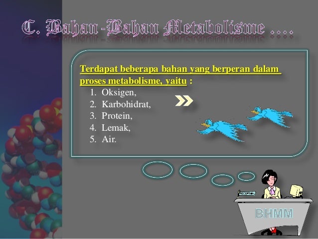 Ppt tugas metabolisme dan suhu tubuh, tingkat ia,diii 