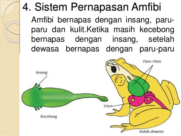 Ppt Tugas Rpp1