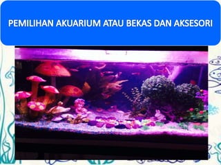 Tumbuhan akuatik Kemahiran Hidup Tahun 5