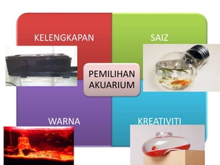 KELENGKAPAN SAIZ
WARNA KREATIVITI
PEMILIHAN
AKUARIUM
 