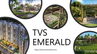 TVS
EMERALD
https://www.tvsemerald.com/
 