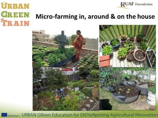 Typology of urban agriculture activities