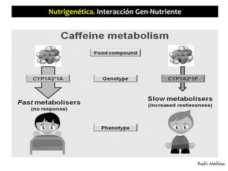 Nutrigenética. Interacción Gen-Nutriente
Rubi Medina
 